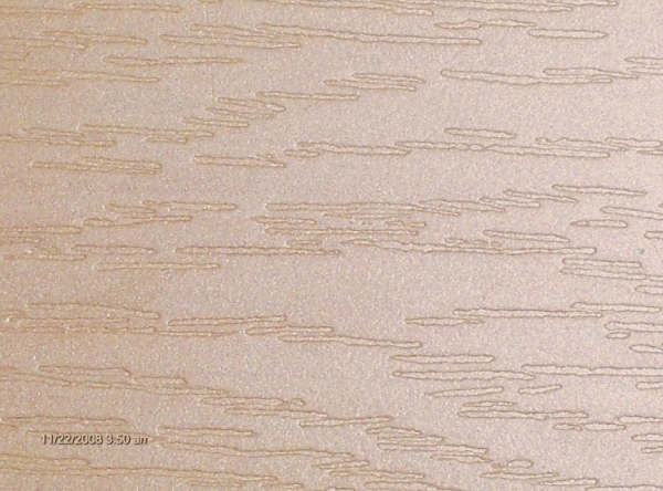 Birch-image