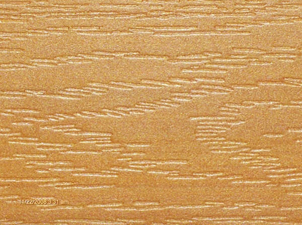 Cedar-image