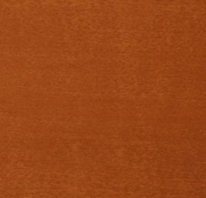 Sugar-Maple-image