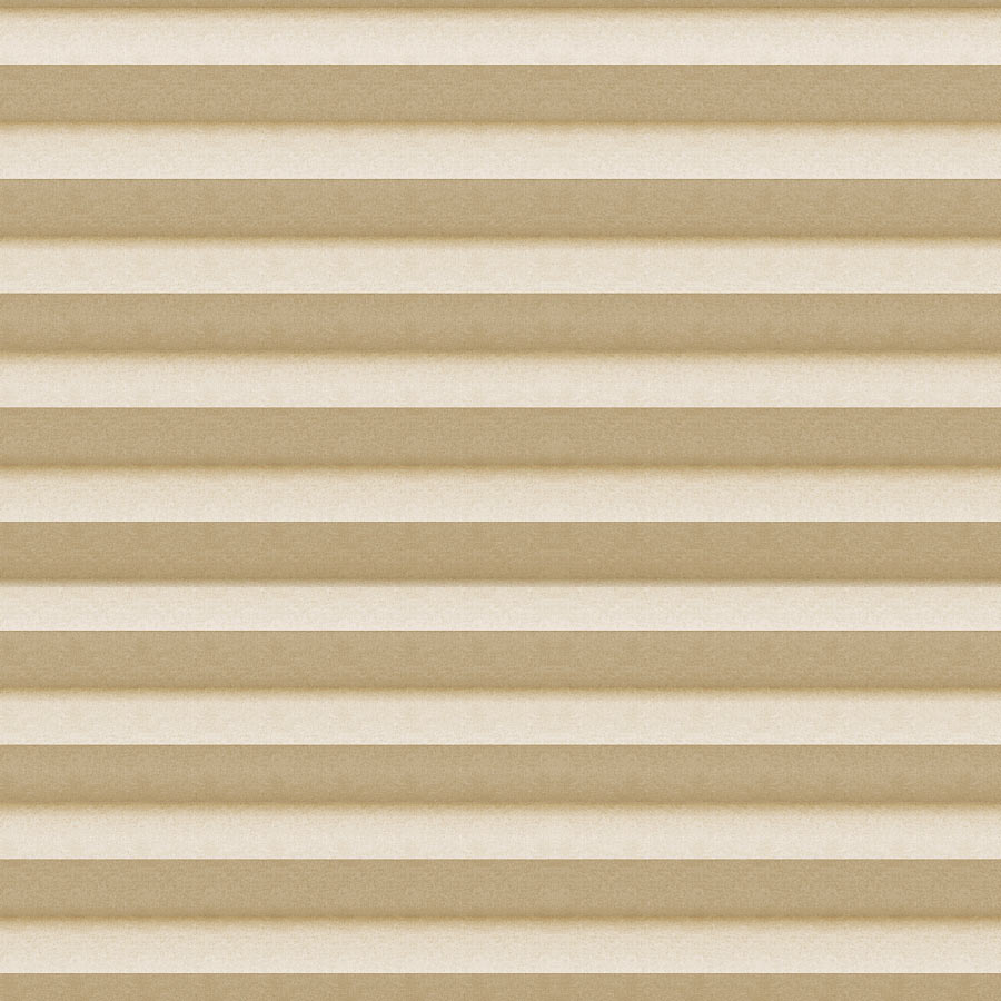 Onion-image