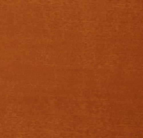 Sugar-Maple-image