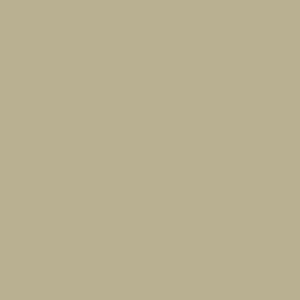 Beige-image