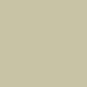 Fawn-image