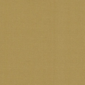 Camel-image