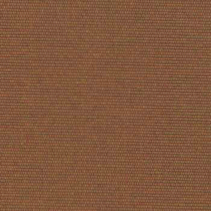 Chestnut-image