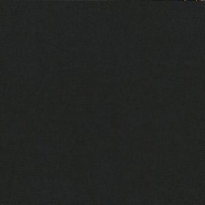 Ebony-image