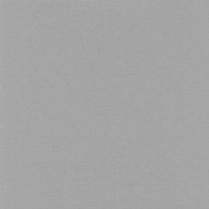 Light-Gray-image