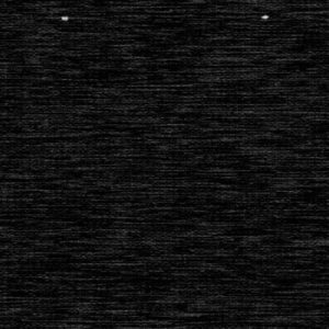 Ebony-image