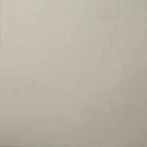 Ivory-image