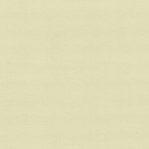 Beige-image