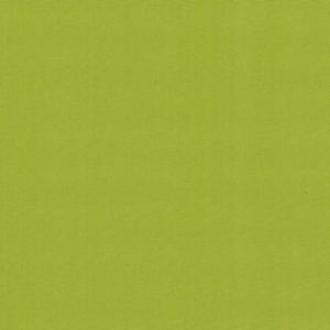 Grass-image