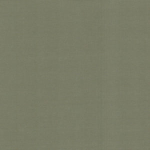 Stone-image
