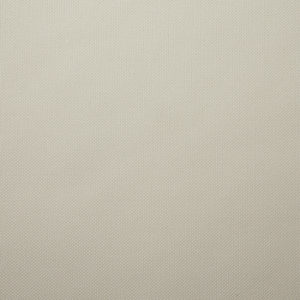 Ivory-image