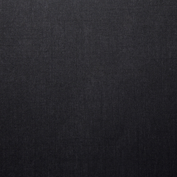 Ebony-image