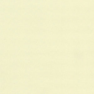 Ivory-image