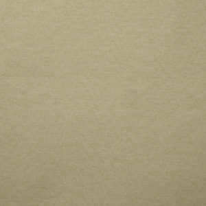 Tan-image