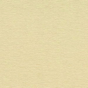 Camel-image