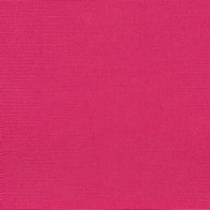 Fuchsia-image