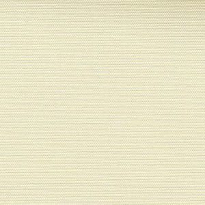 Ivory-image