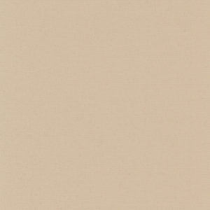 Beige-image
