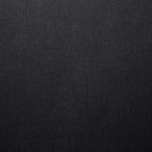Ebony-image