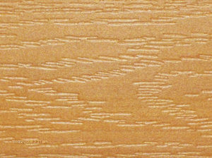 Cedar-image