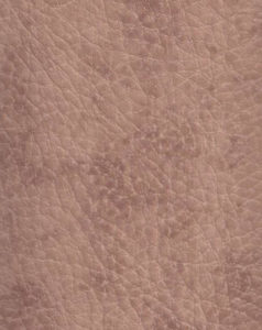 Sandstone-image