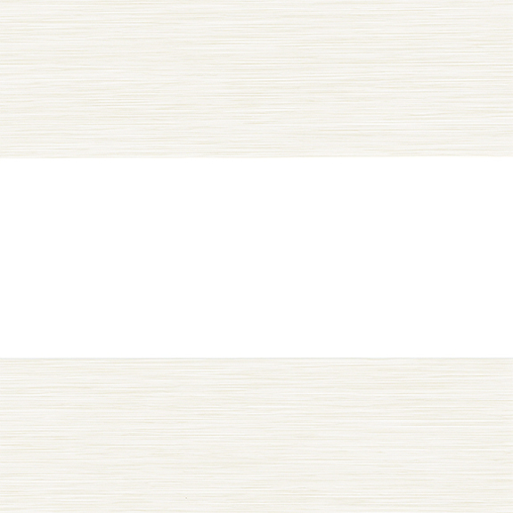 Ivory-image